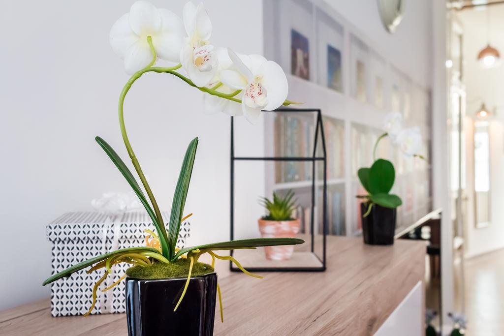 Bpr Purehome Apartment บูดาเปสต์ ภายนอก รูปภาพ